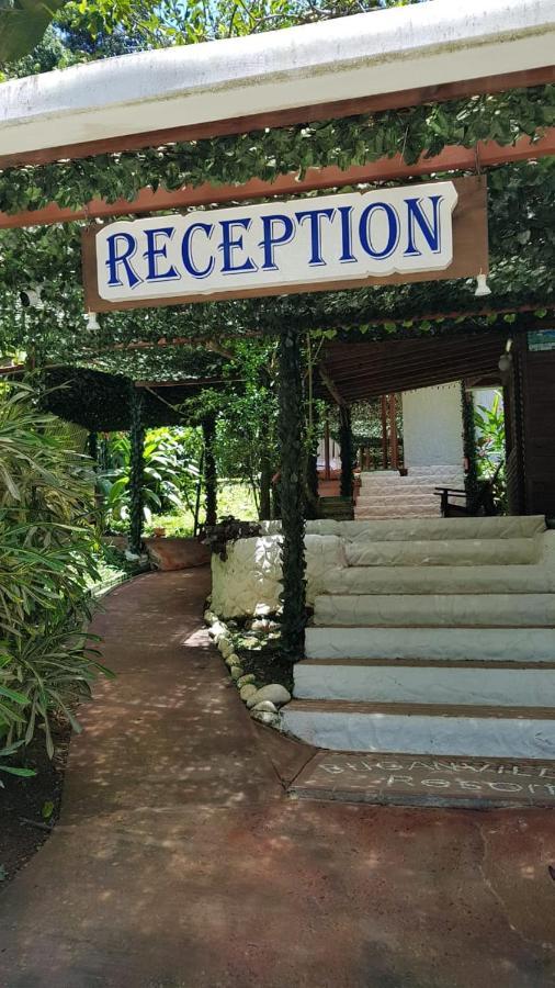 Hotel Bugabutik Puerto Viejo de Talamanca Dış mekan fotoğraf